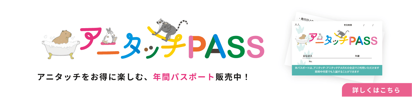 年間パスポート アニタッチPASS