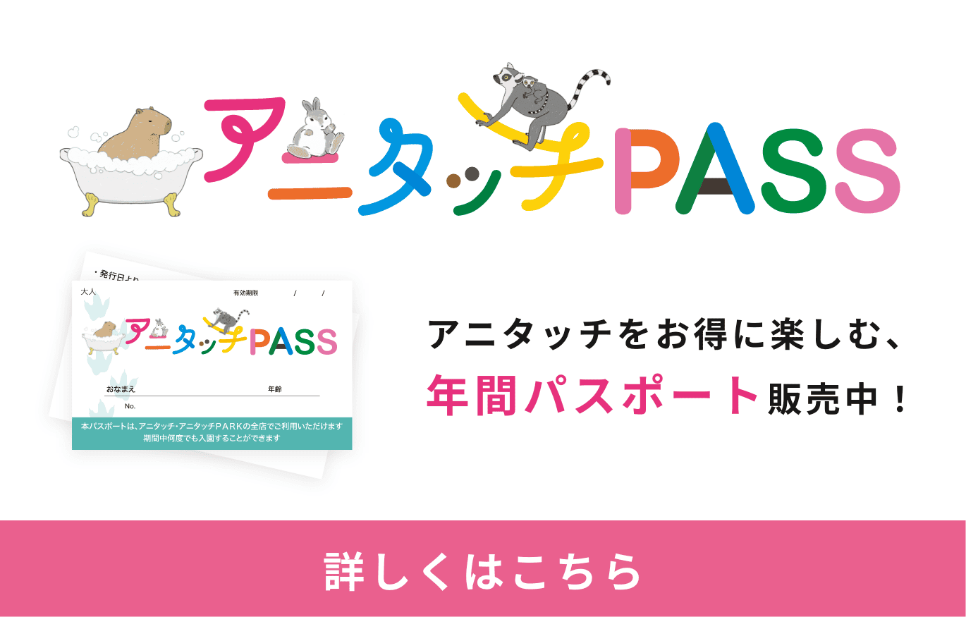 年間パスポート アニタッチPASS